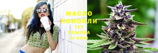 индика Абаза
