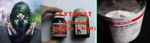 индика Абаза
