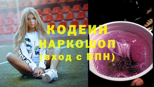 индика Абаза