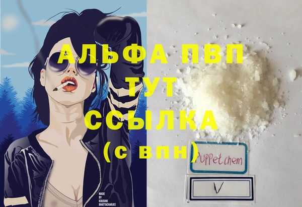 индика Абаза