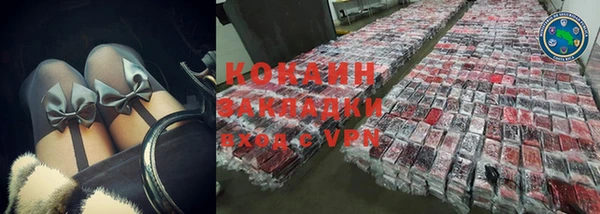 индика Абаза