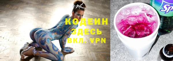 индика Абаза
